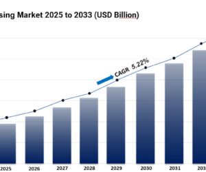 Car Leasing Market Size, Share, Industry Overview, Growth and Forecast 2025-2033