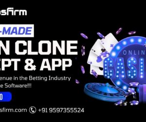 Maximize Returns in Online Gambling with a Tailored 1Win Clone Script