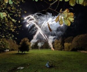 Roman Candles vs. Rocket Fireworks — Which One Lights Up Your Night?