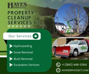 Transform Your Property Year-Round with Hayes Services, LLC in Connecticut