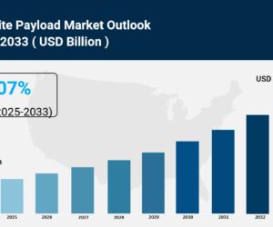 Satellite Payload Market Size, Share And Growth Report 2025-2033