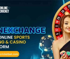 Winexch Mobile – Access Events Anytime with Mobile