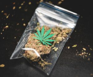 Marijuana Dispensary: Your Complete Guide to Safe Cannabis Access