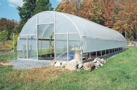Why Does Plastic UV Protection Matter for Greenhouses and Agriculture?