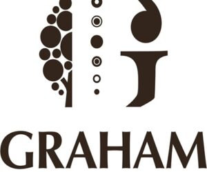 Seattle Chiropractic Wellness Hub