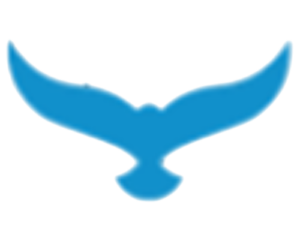 Trusted, Affordable & Accurate Construction Cost Estimation Service in USA