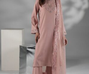 Festive and Formal Wear Collection for Women in Pakistan