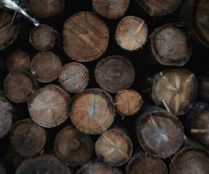 What Makes Kiln Dried Hardwood Birch Ideal for Burning?