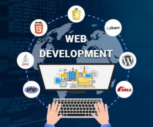 5 Qualities of a Professional Website Development Partner