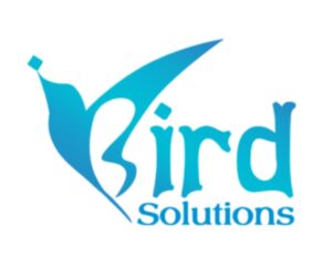 iBird Solutions – Ahmedabad’s Top Digital Marketing & Web Agency