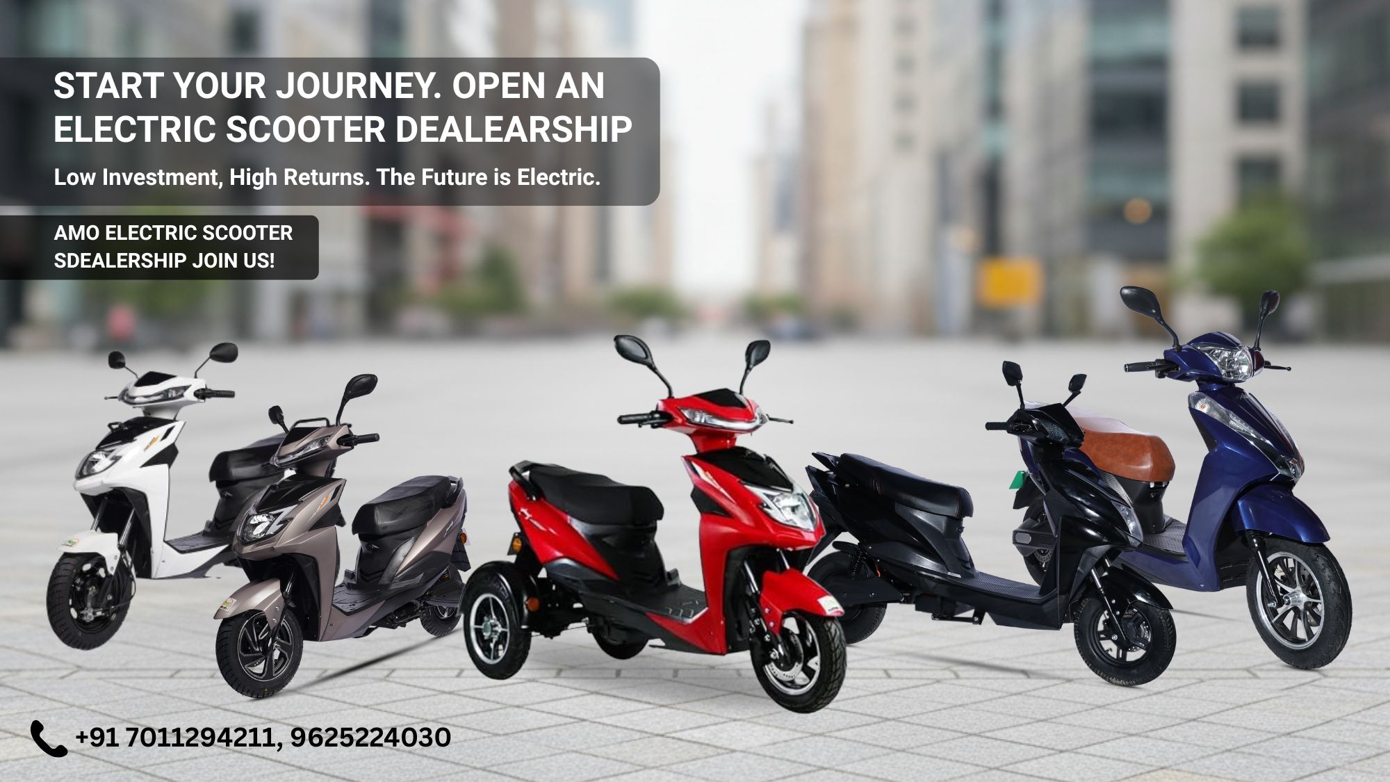 Electric Scooter Dealership