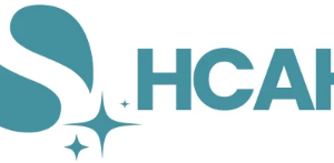 House Cleaning Avondale Heights