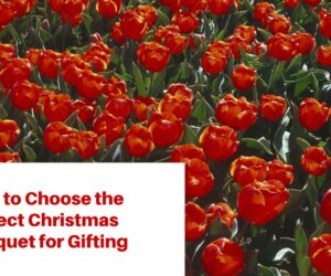 How to Choose the Perfect Christmas Bouquet for Gifting
