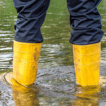 waterproof boots