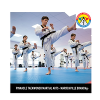 Pinnacle Taekwondo Martial Arts in Marrickville