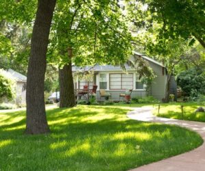 Fast & Affordable Tree Stump Removal Services – Clean & Safe