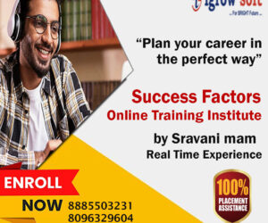 SAP Success Factors training and placement | Igrowsoft
