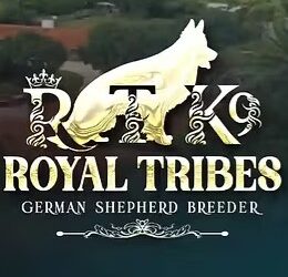 Royal Tribes K9