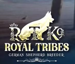 Royal Tribes K9