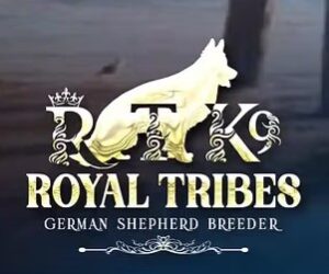 Royal Tribes K9