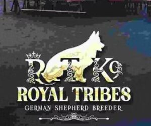 Royal Tribes K9