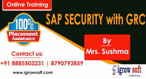 SAP GRC Online Training in Hyderabad | Igrowsoft