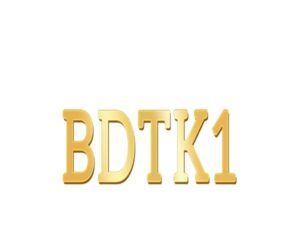 BDTK1 – A Secure and Modern Online Gaming Platform