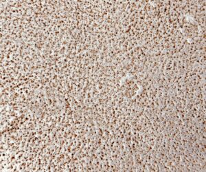 Why Interior Designers Love Bouclé Upholstery Fabric in the UK