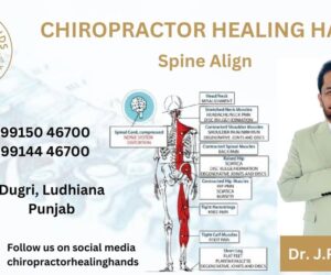 Healing Hands Chiropractor | Best Chiropractor in Ludhiana and Hammer Therapy and Hanging Therapy in Ludhiana