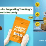 CBD Dogs Treats