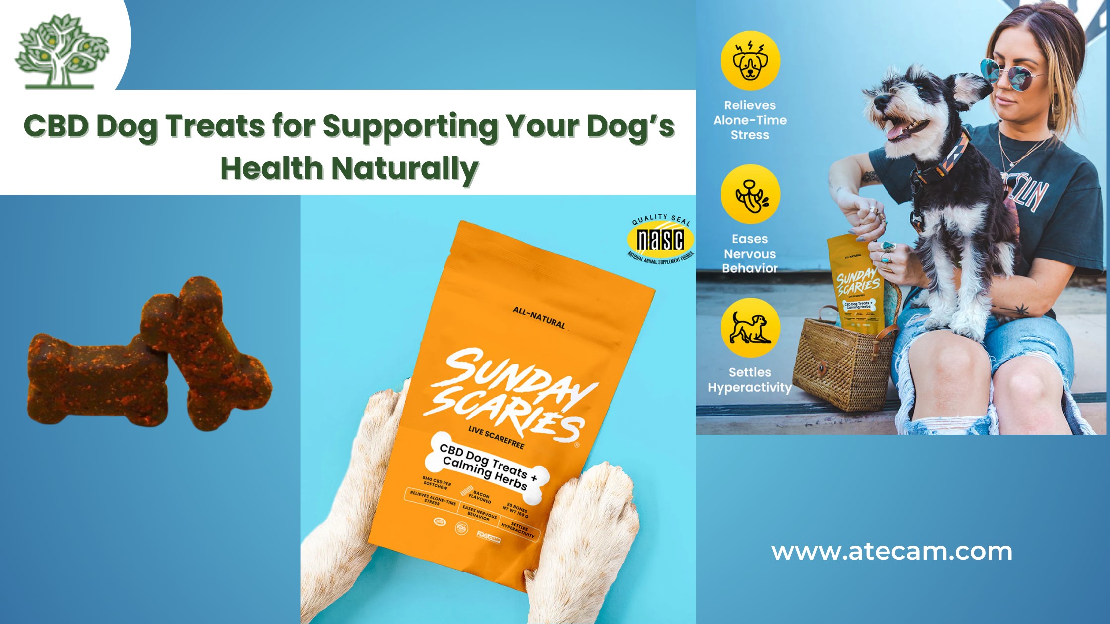 CBD Dogs Treats