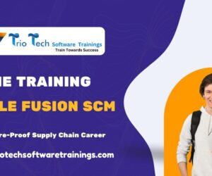 Triotech Software Trainings | SCM Training in Hyderabad