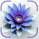 Profile picture of Plantora