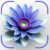 Profile picture of Plantora