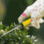 Profile picture of Pressure Washing Wandsworth
