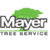 Profile picture of Dan Mayer