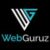 Profile picture of WebgGuruz 