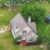 Profile picture of Lake Seminole Homes For Sale