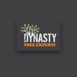 Profile picture of Dynasty Tree Experts
