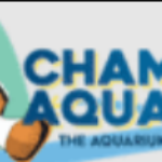 Profile picture of Champion Aquariums